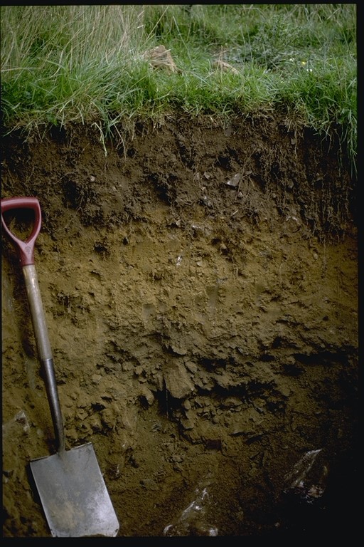 Photo of soil profile