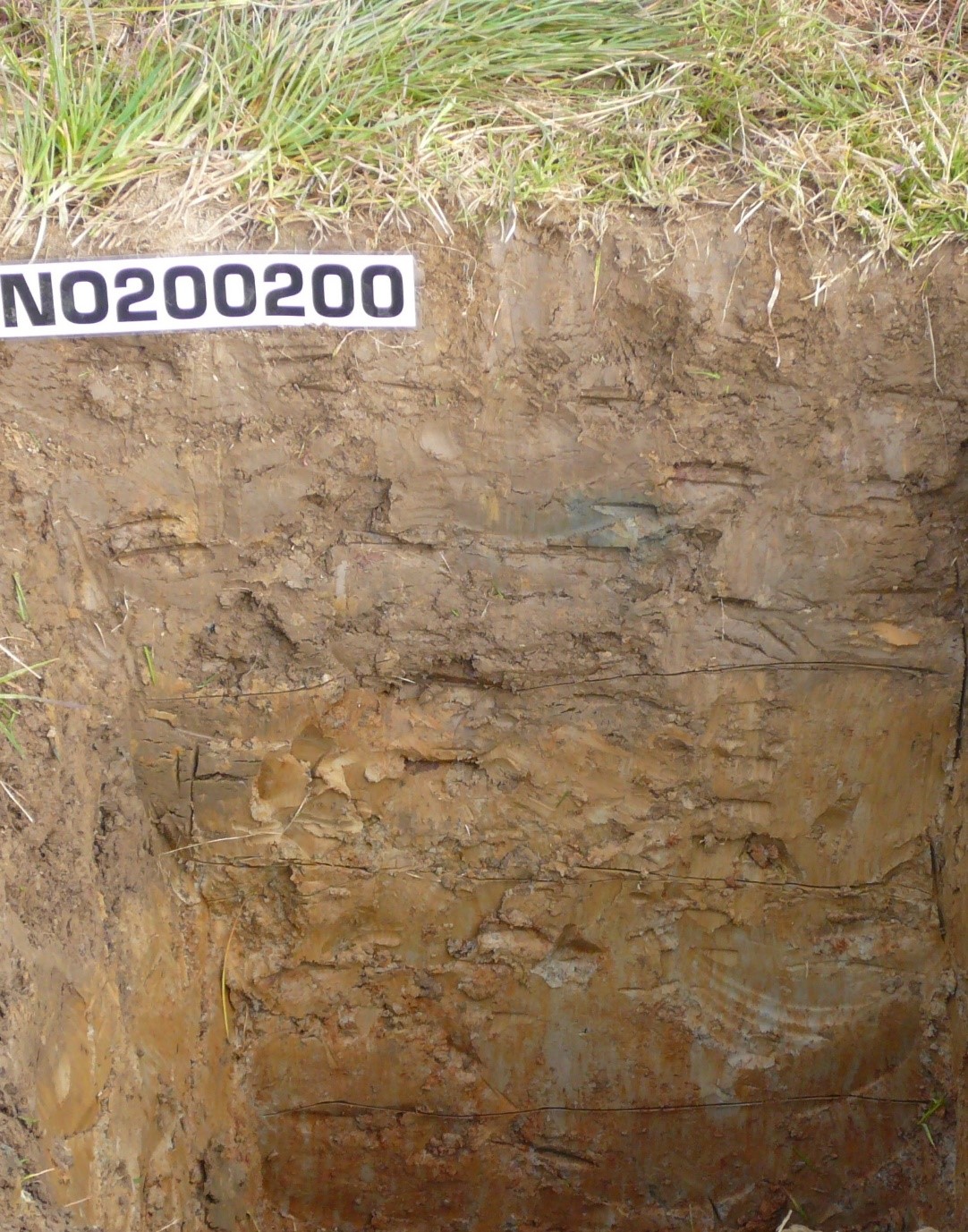 Photo of soil profile