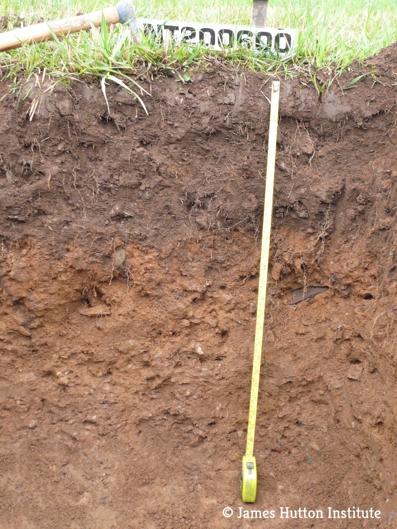 Photo of soil profile